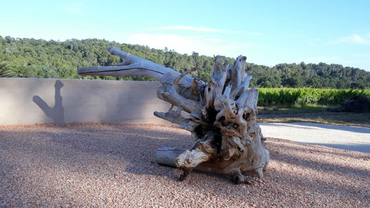 Sous Les Pins Gites Et Chambres D'Hotes La Londe-les-Maures Exterior foto